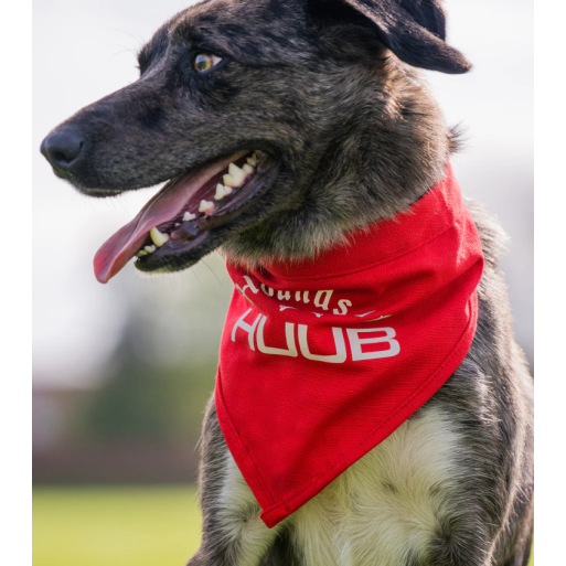 Foulard pour chien HUUB