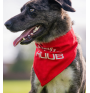 Bandana pour animaux